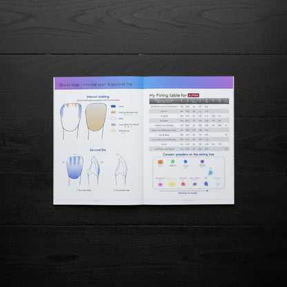 Technical guide for dental material application with color swatches and text.